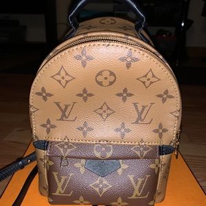 Louis Vuitton Palm Springs Mini Reverse Mo…